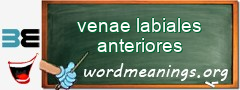 WordMeaning blackboard for venae labiales anteriores